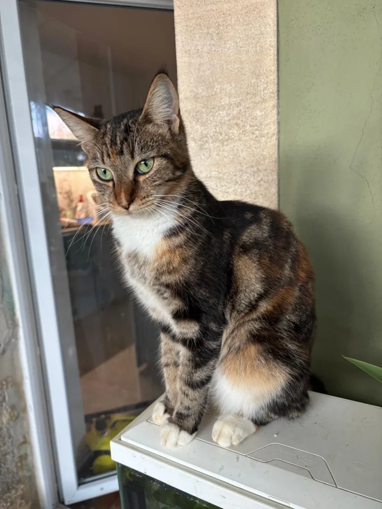 WhatsApp Image 2025-05-27 at 21.35.24 (1)