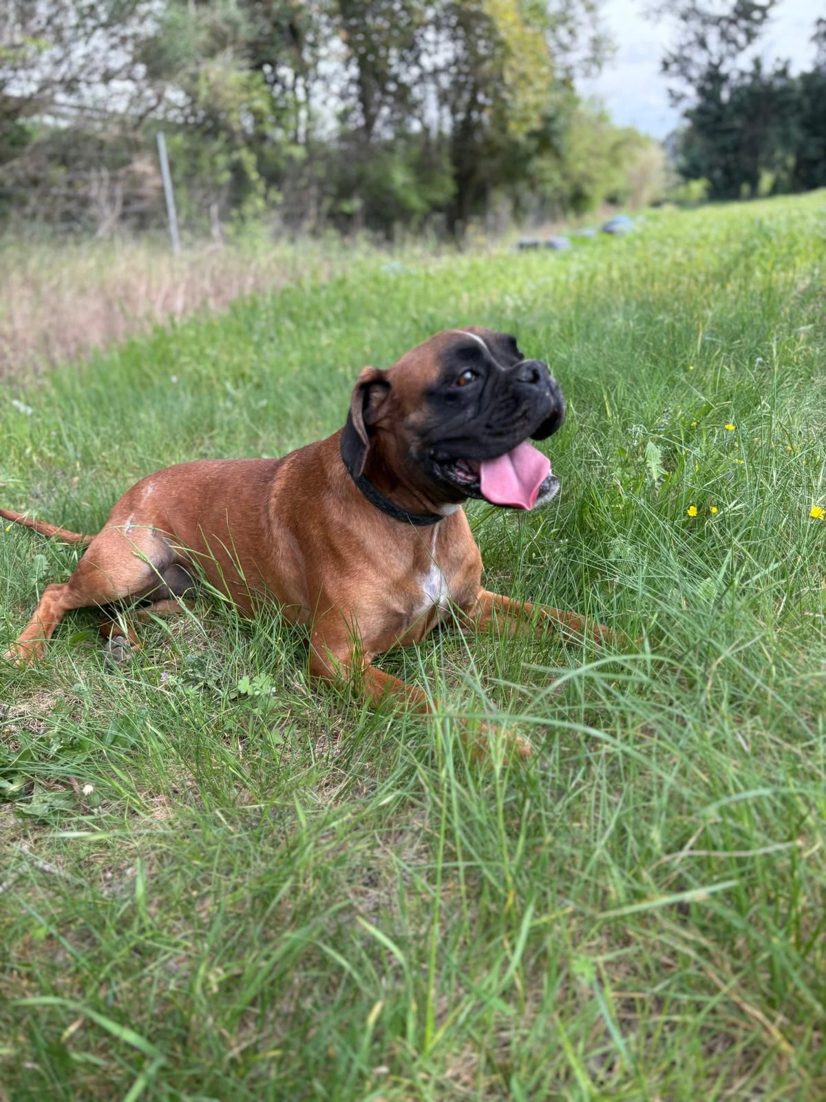 WhatsApp Image 2025-05-27 at 21.35.26 (1)