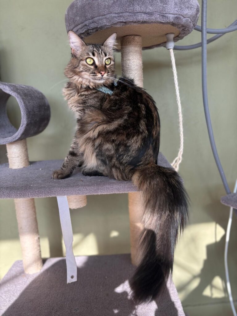 WhatsApp Image 2025-05-27 at 21.35.28