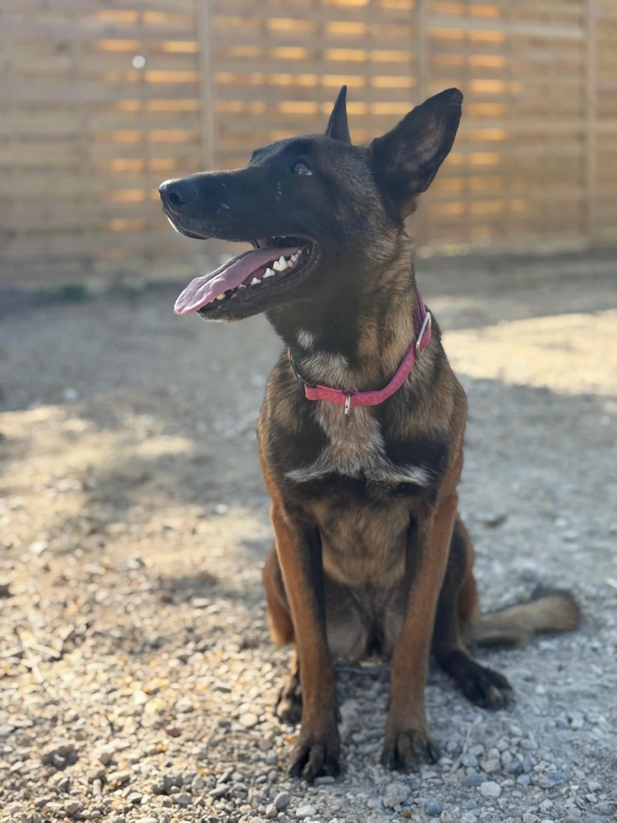 WhatsApp Image 2025-05-27 at 21.35.29 (3)