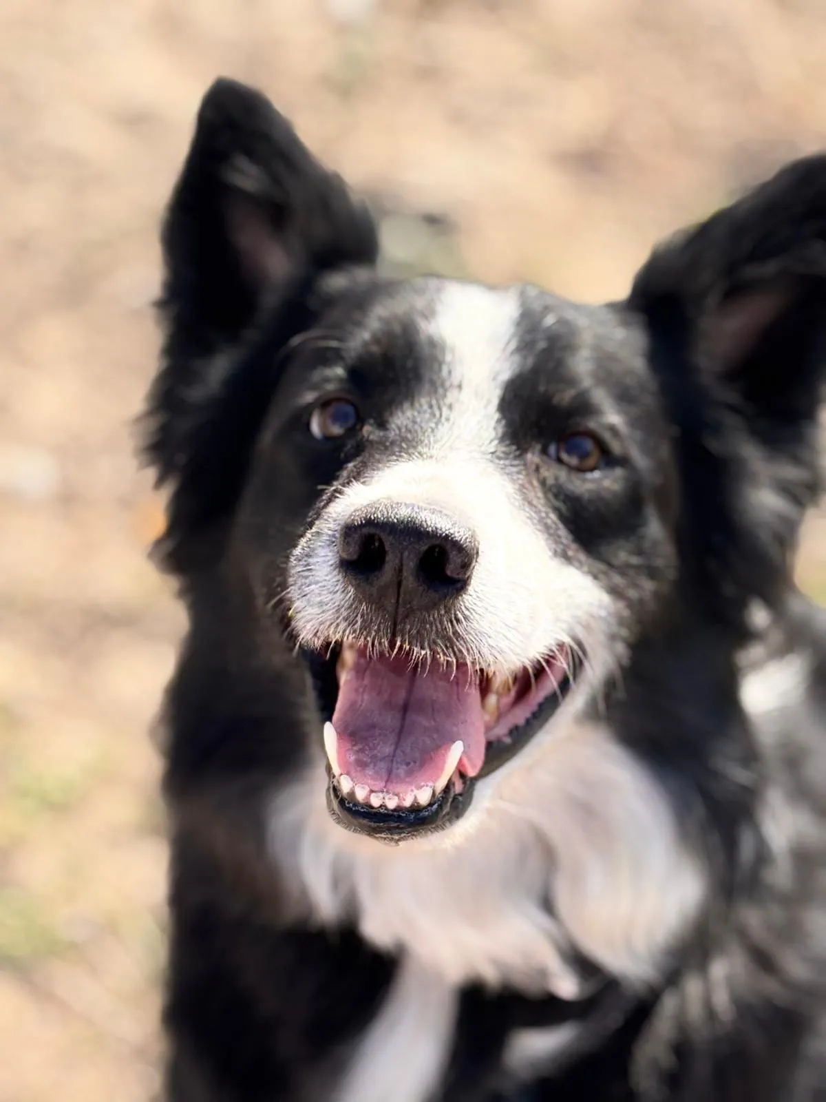 WhatsApp-Image-2025-05-27-at-21.35.29-_1_