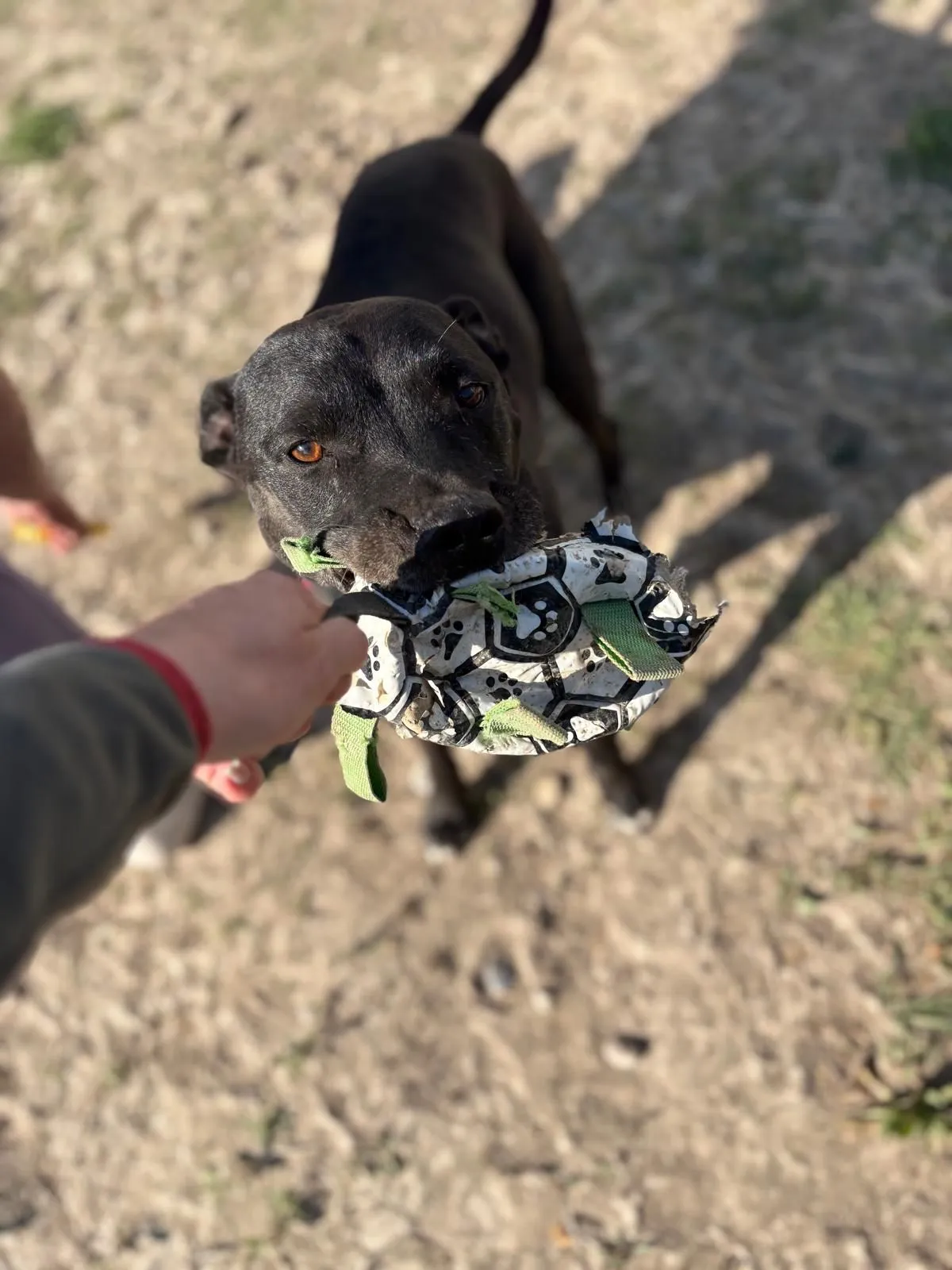 WhatsApp-Image-2025-05-27-at-21.35.29-_2_