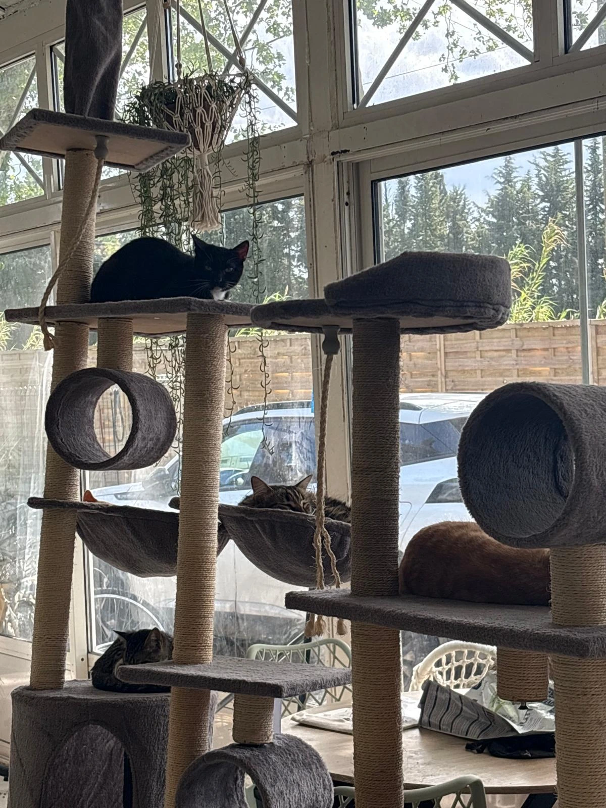 WhatsApp Image 2025-05-28 at 16.35.26