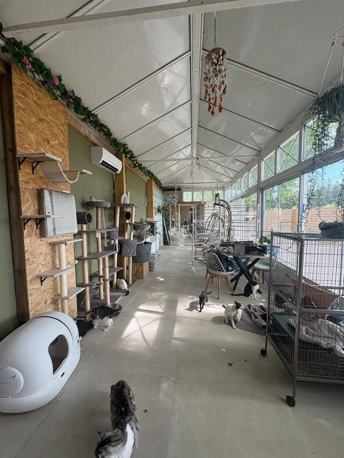 WhatsApp Image 2025-05-28 at 16.42.27