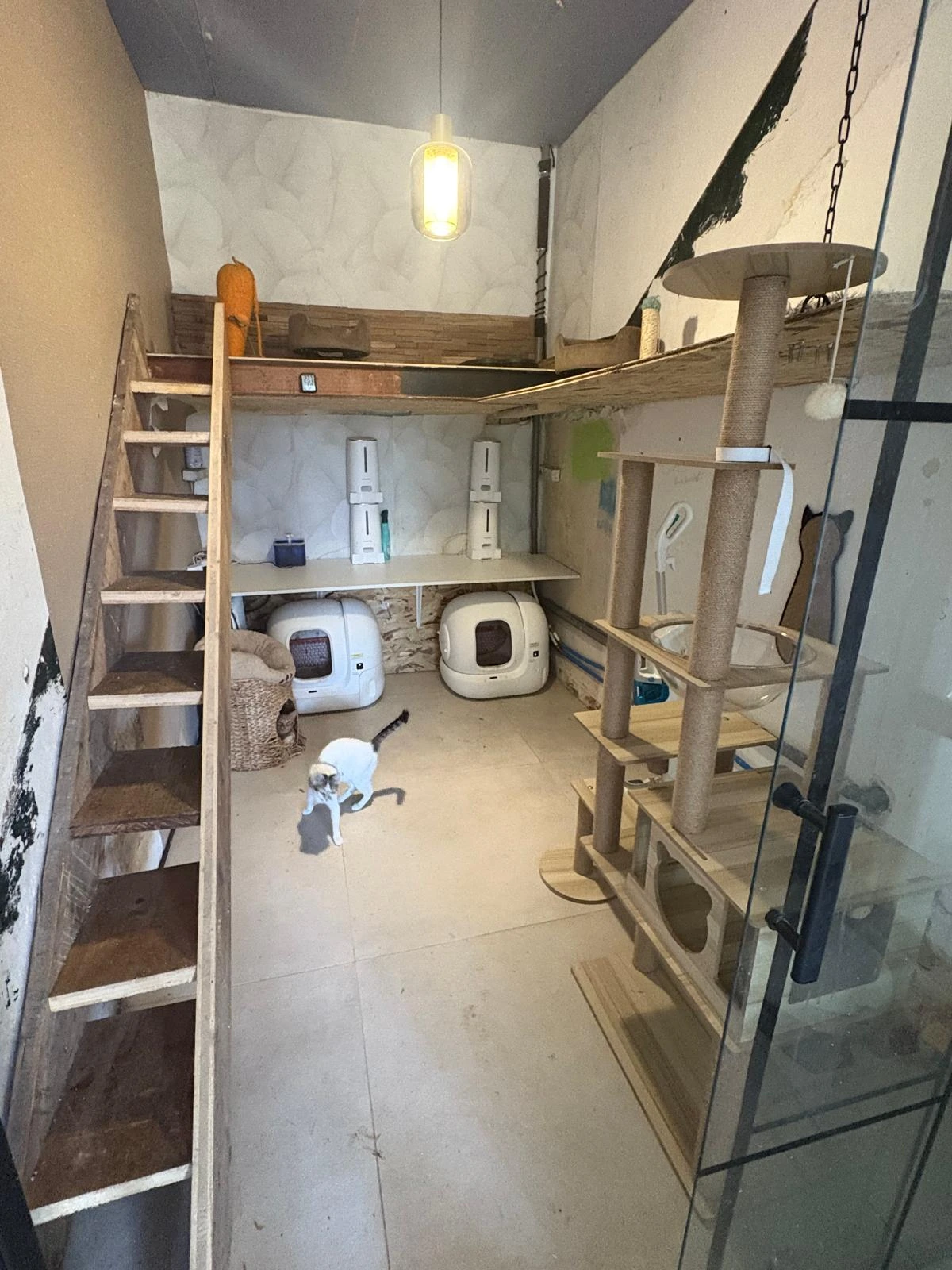 WhatsApp Image 2025-05-28 at 16.42.49