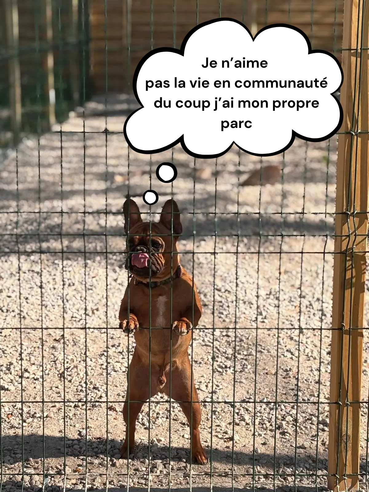 Je n’aime pas la vie en communauté du coup j’ai mon propre parc