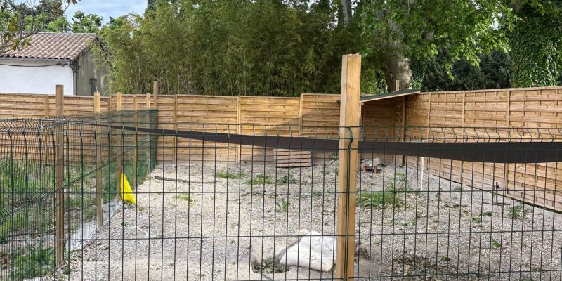 WhatsApp Image 2025-05-27 at 21.35.24