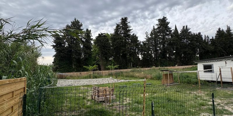 WhatsApp Image 2025-05-27 at 21.35.25