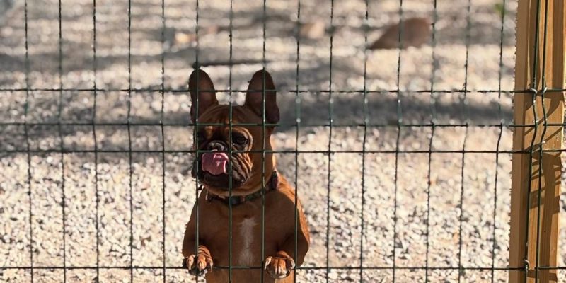 WhatsApp Image 2025-05-27 at 21.35.29