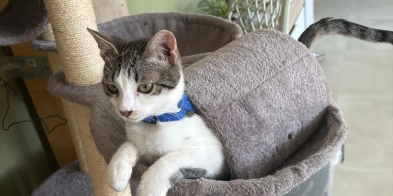 WhatsApp Image 2025-05-28 at 16.32.36